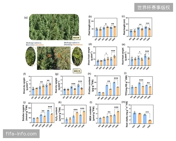 多哈核心赛区人群移动热力图采集覆盖率已突破92%的临界阈值